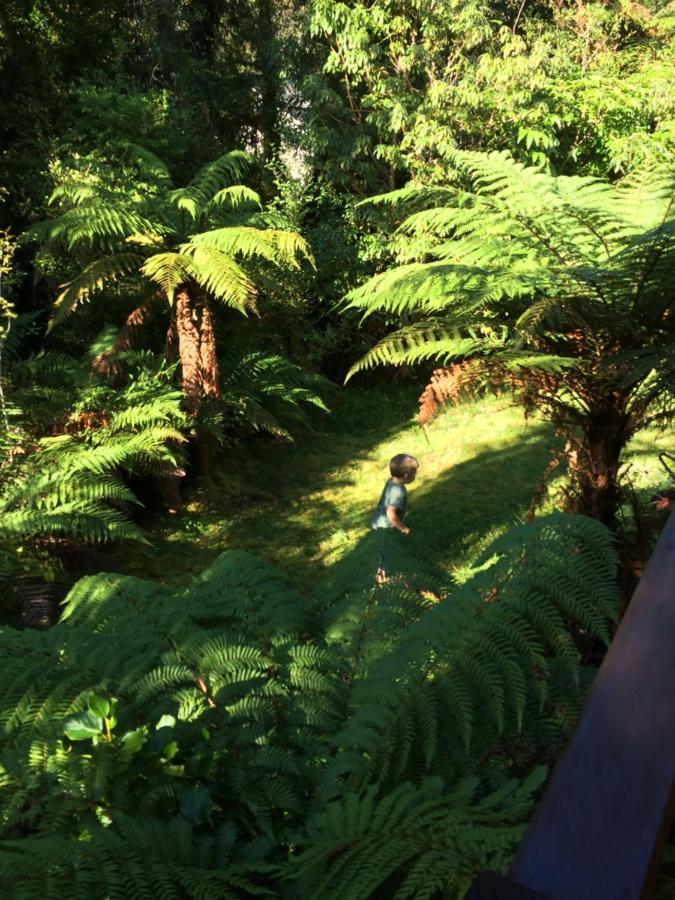 The Ferns Hideaway Villa Franz Josef Bagian luar foto